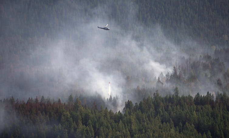a helicopter drops water on a forest fire
