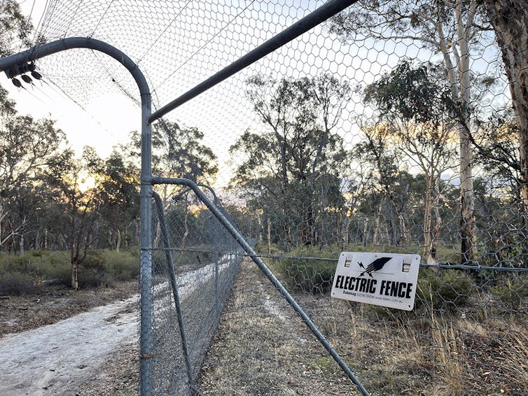 A tall fence with a sign that says 'electric fence'.