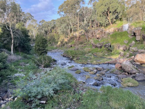 Many urban waterways were once waste dumps. Restoration efforts have made great strides – but there's more to do to bring nature back