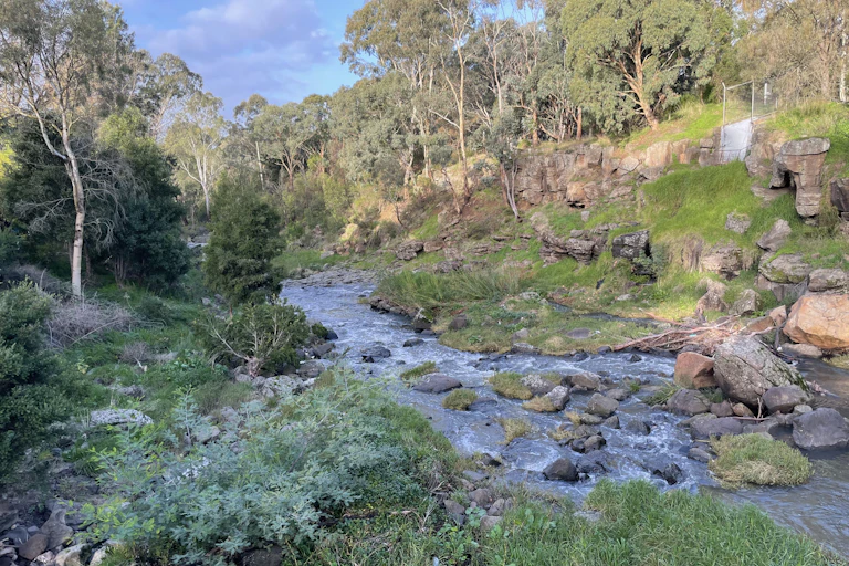 A river surrounded by parklands