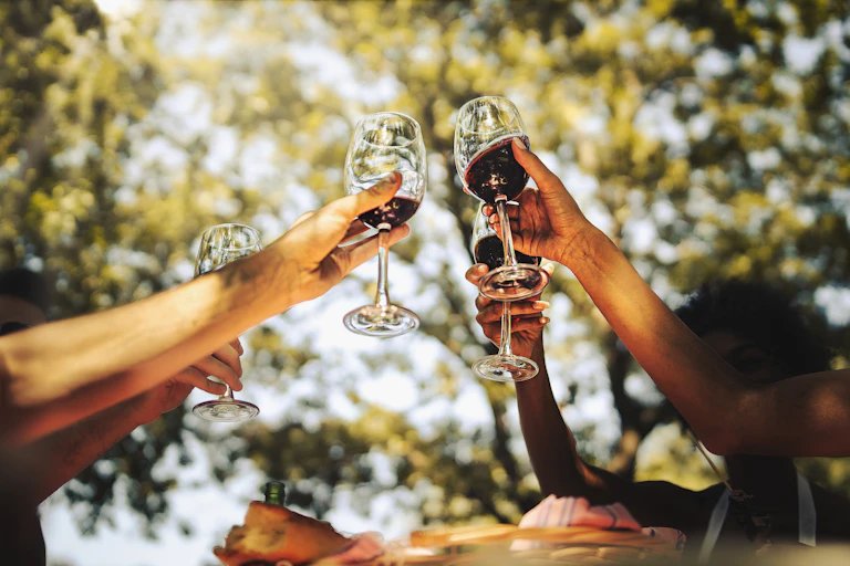Toasting glasses in park