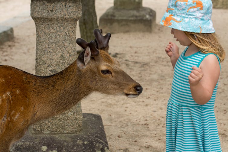 Young girl standing in front of a deer.