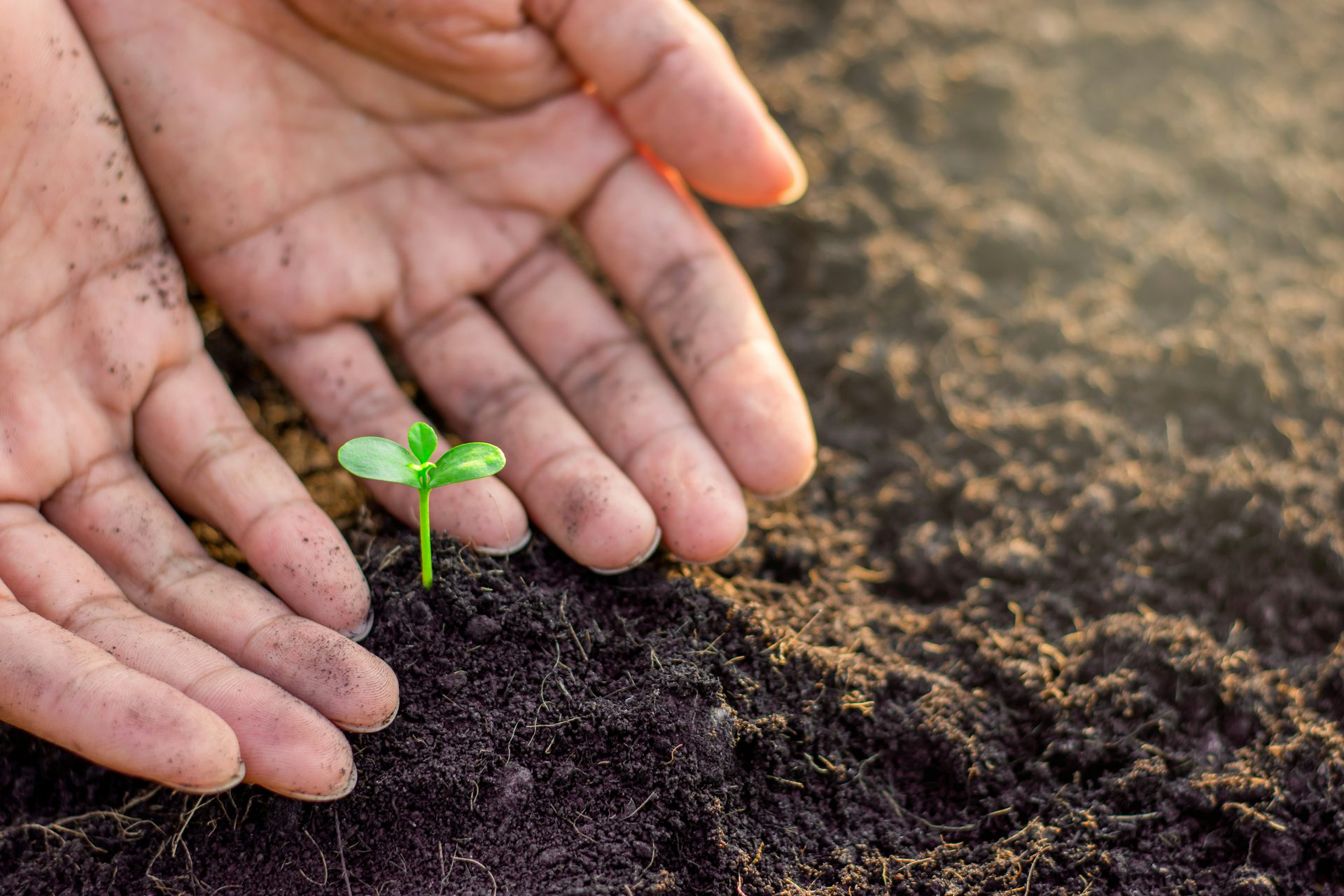 Bagaimana aturan Indonesia belum menjamin obligasi hijau bebas &lsquo;greenwashing&rsquo;