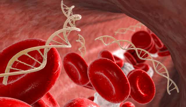 Infographie de l'intérieur d'un vaisseau sanguin montrant des molécules d'ADN et des globules rouges