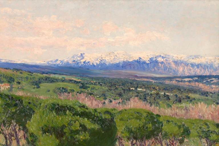 Imagen con la sierra de Guadarrama nevada al fondo y campos de árboles en primer plano.