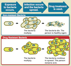 An illustrative diagram that shows the difference between a drug resistant bacteria and a non-resistant bacteria.