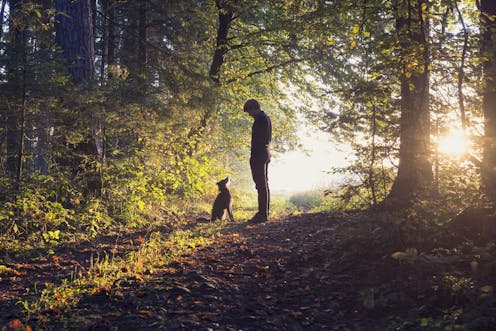 new research reveals the suffering of people whose dogs died after eating 1080 poison baits