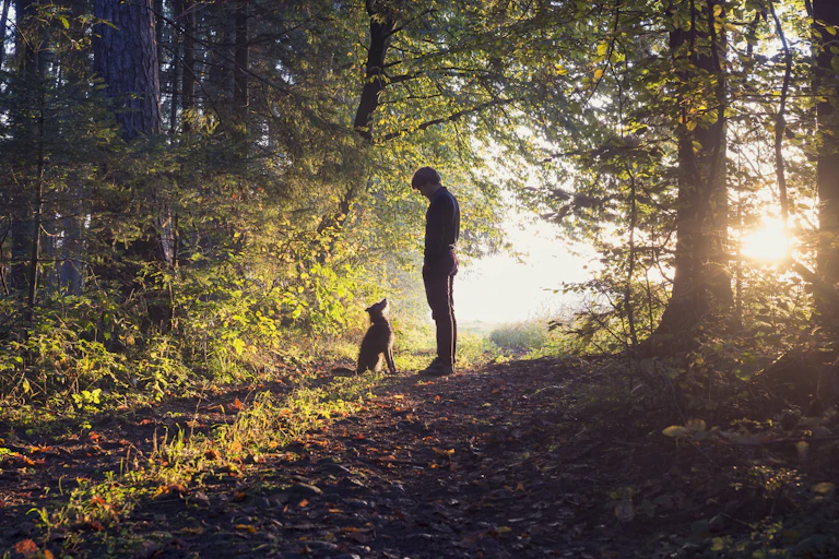 Man walking his dog in the woods standing backlit by the rising sun casting a warm glow and long shadows.