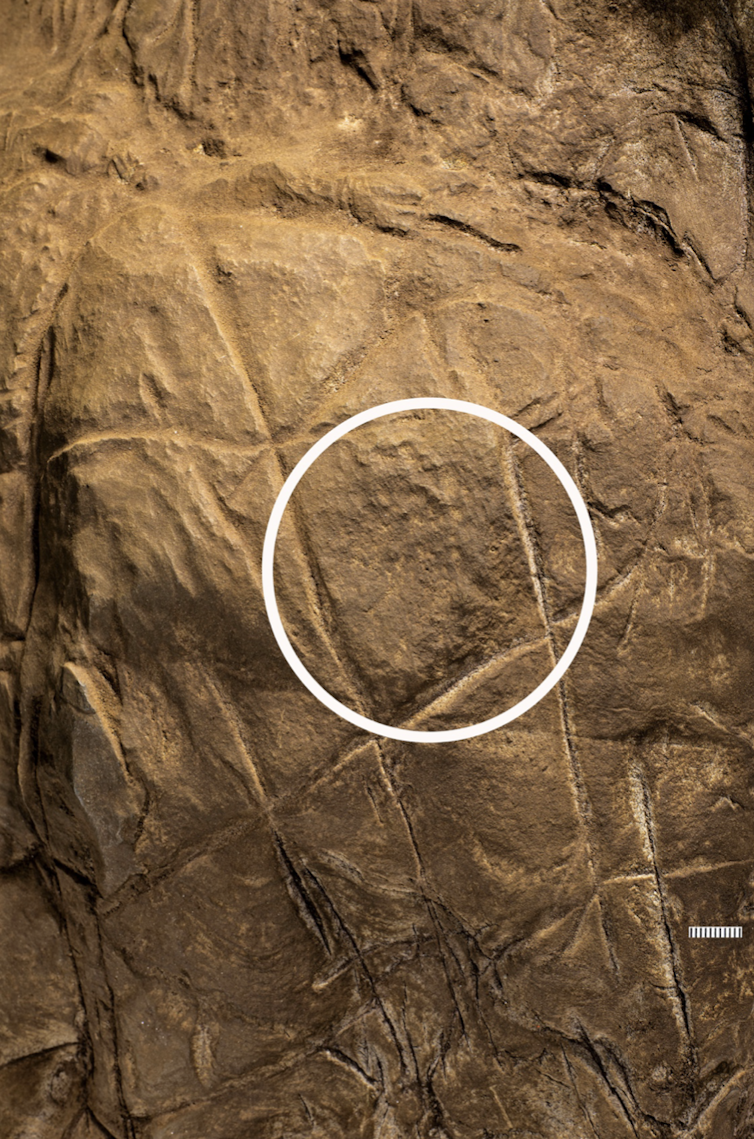 The researchers point to engravings on the wall as evidence of Homo naledi’s capability to create art and symbols.