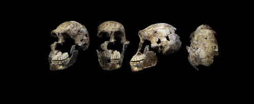 Major new research claims smaller-brained 'Homo naledi' made rock art and buried the dead. But the evidence is lacking
