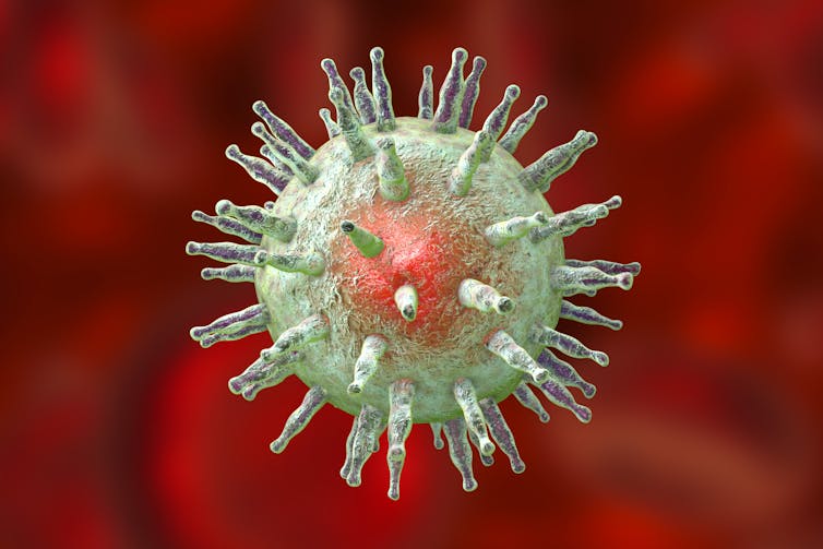 3D illustration of the Epstein-Barr virus in green and red