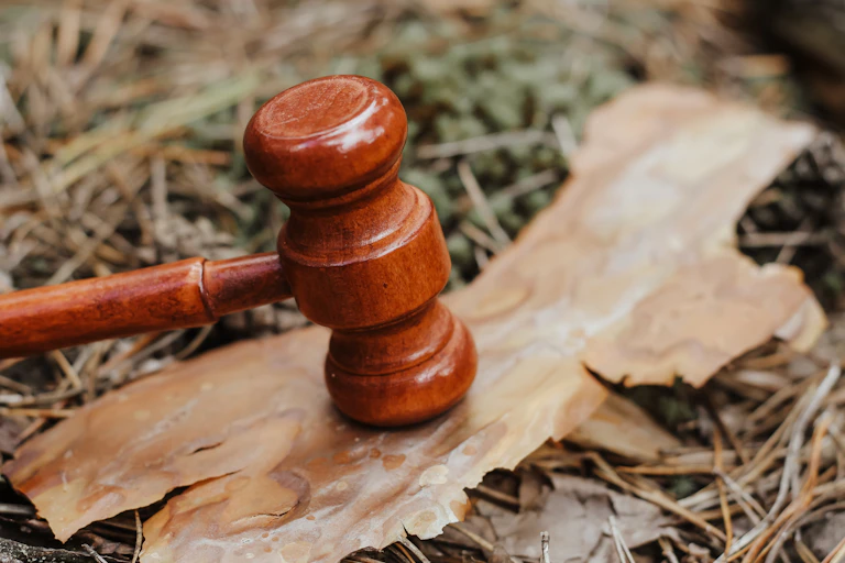 marteau de justice