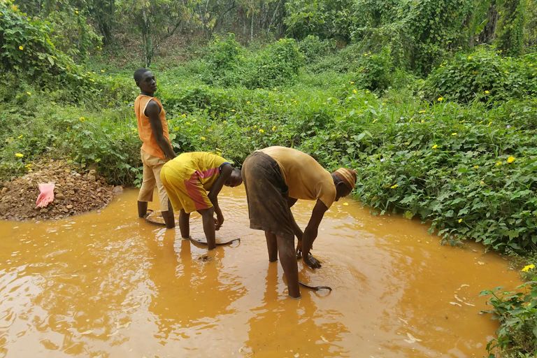 3 men standing in a pool of muddy water, with flat pans immersed in the water
