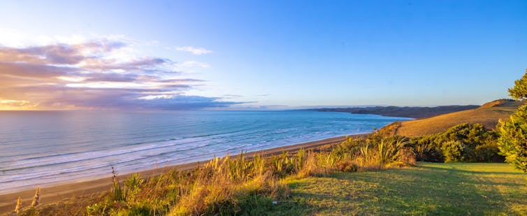 A beach near Raglan.