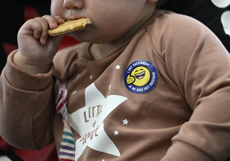 A baby is seen from the nose down chewing on a cracker.