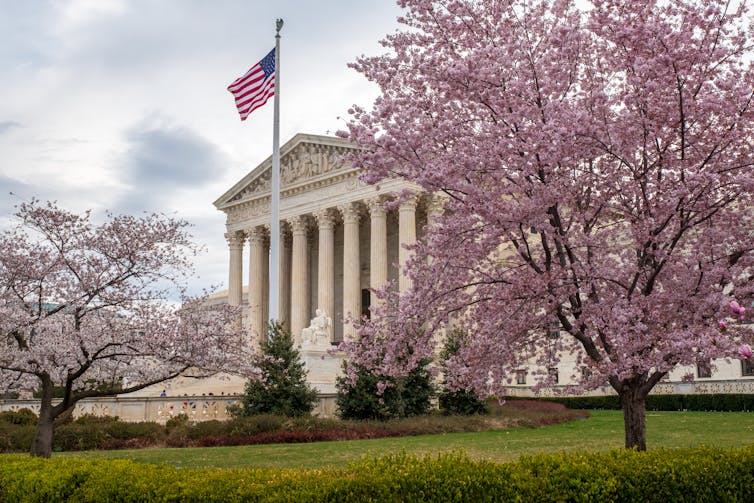 A huge building with ornate white columns seen with pink-flowered trees and an American flag.