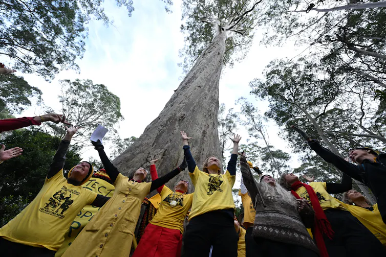 protesters bearing placards gather in front of a big gum tree in a forest