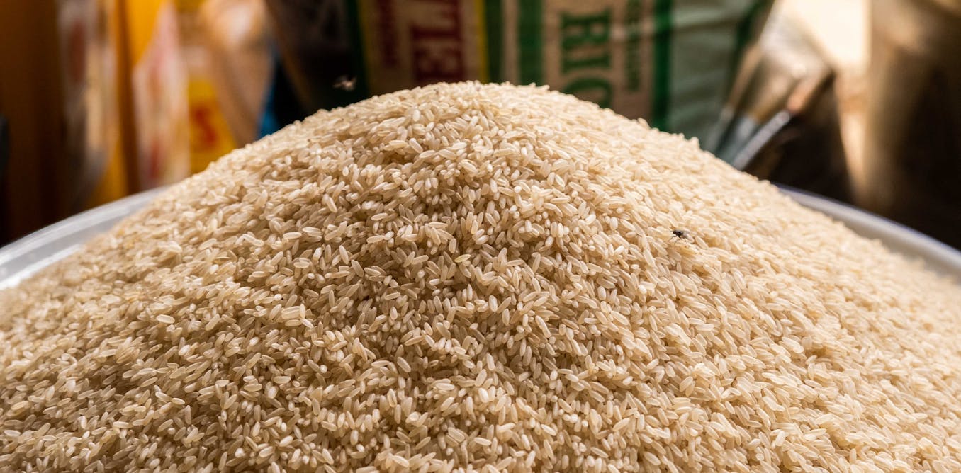 Nigeria is Africa’s leading rice producer, but still needs more ...