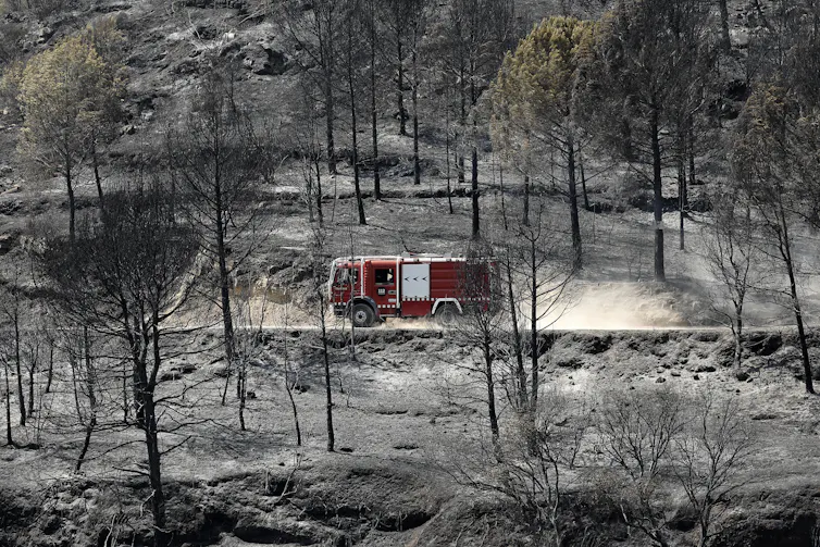 A fire engine drives down a dusty road surrounded by burnt trees.