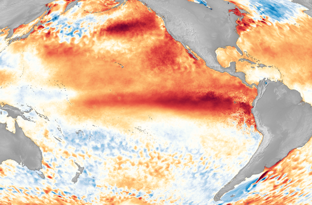 A satellite image shows warm water along the equator west of South America.