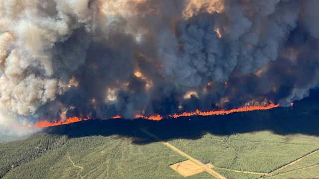 aerial view of a wildfire