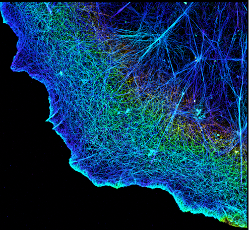 Zooming across time and space simultaneously with superresolution to understand how cells divide