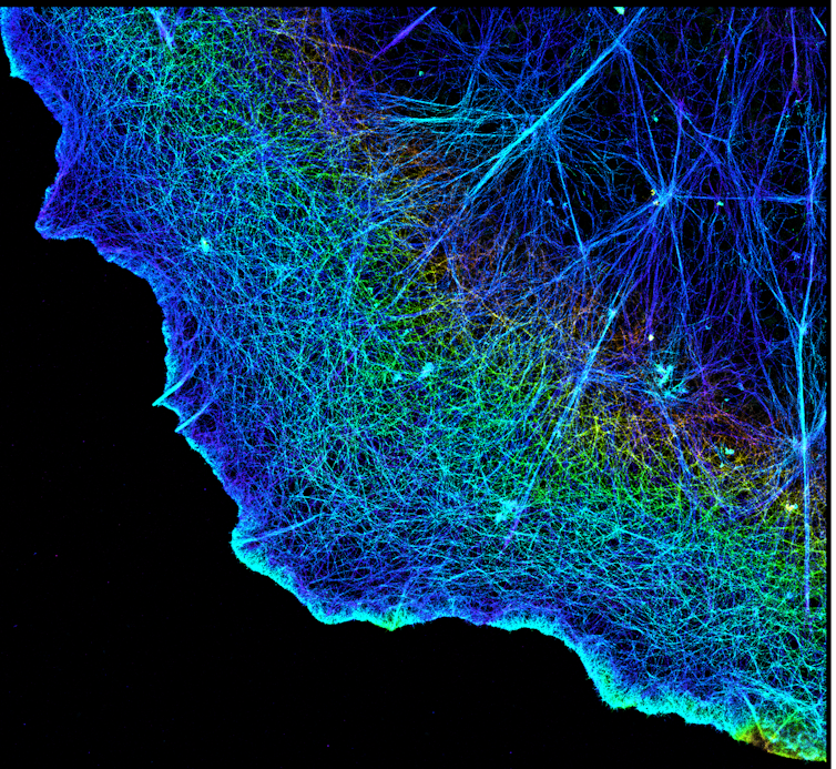 Zooming across time and space simultaneously with superresolution to understand how cells divide
