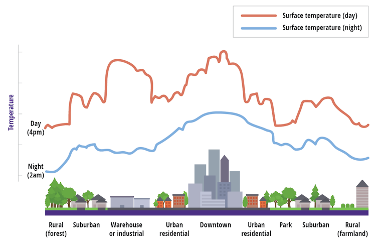 An illustration showing a cross-section of a region, with a city and rural areas, and two chart lines showing day and night temperatures. The temps rise over areas with lots of concrete and asphalt, particularly dense areas that hold the heat.