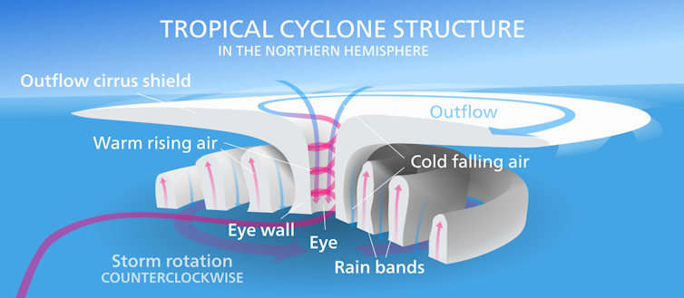 Cutaway diagram of a hurricane showing paths of rising warm air within cloud bands.