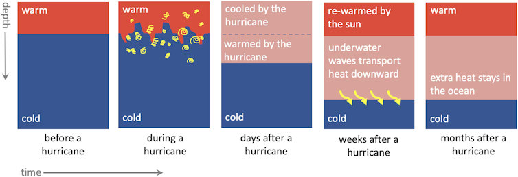 Schematic with five stages showing the ocean's warm surface layer mixing during a hurricane, heat continuing to be pushed down after the hurricane passes and remaining there for months.