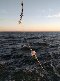 A photo of an instrument being lowered into the ocean. It's a long thin line with sensors attached.