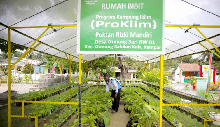 (Kampung iklim)