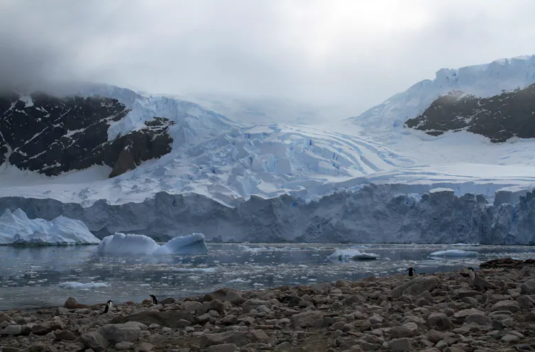 A thick wall of glacier ending at a shallow bay with a rocky shore in the foreground.