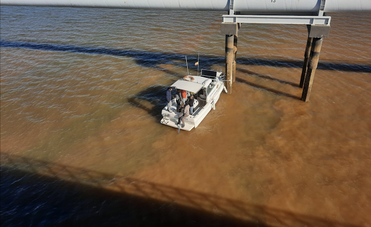 Zona de mezcla en el estuario del río Tinto: el agua de color ocre es señal de la presencia de schwertmannita.