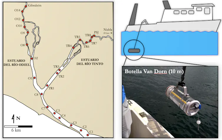 Localización de los puntos de muestreo en la ría de Huelva a lo largo de los ríos Tinto y Odiel y del canal común que desemboca en el océano.