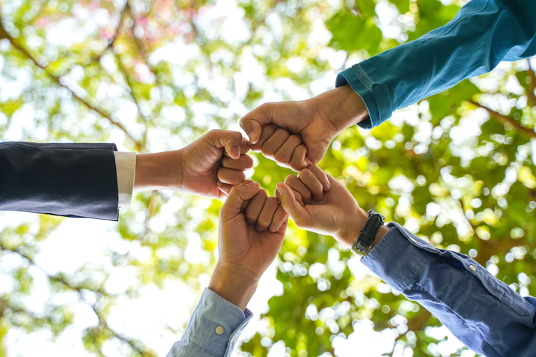 Four sets of fists form a circle belong a canopy of trees