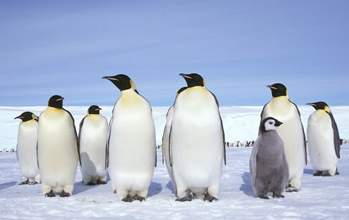 the irreversible changes to come if we fail to keep warming below 2℃
