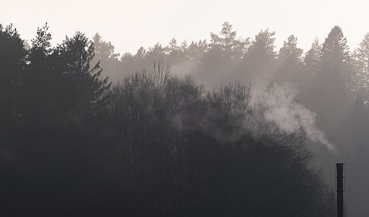Smoke drifts from a rooftop chimney across a forested background