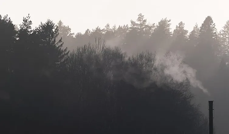 Smoke drifts from a rooftop chimney across a forested background