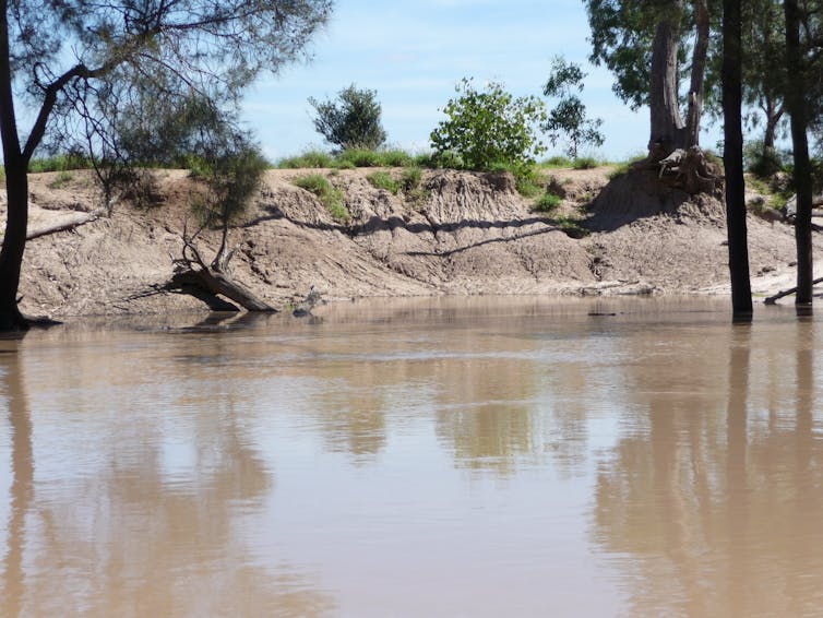 A photograph of Moonie River showing bare banks and soil erosion
