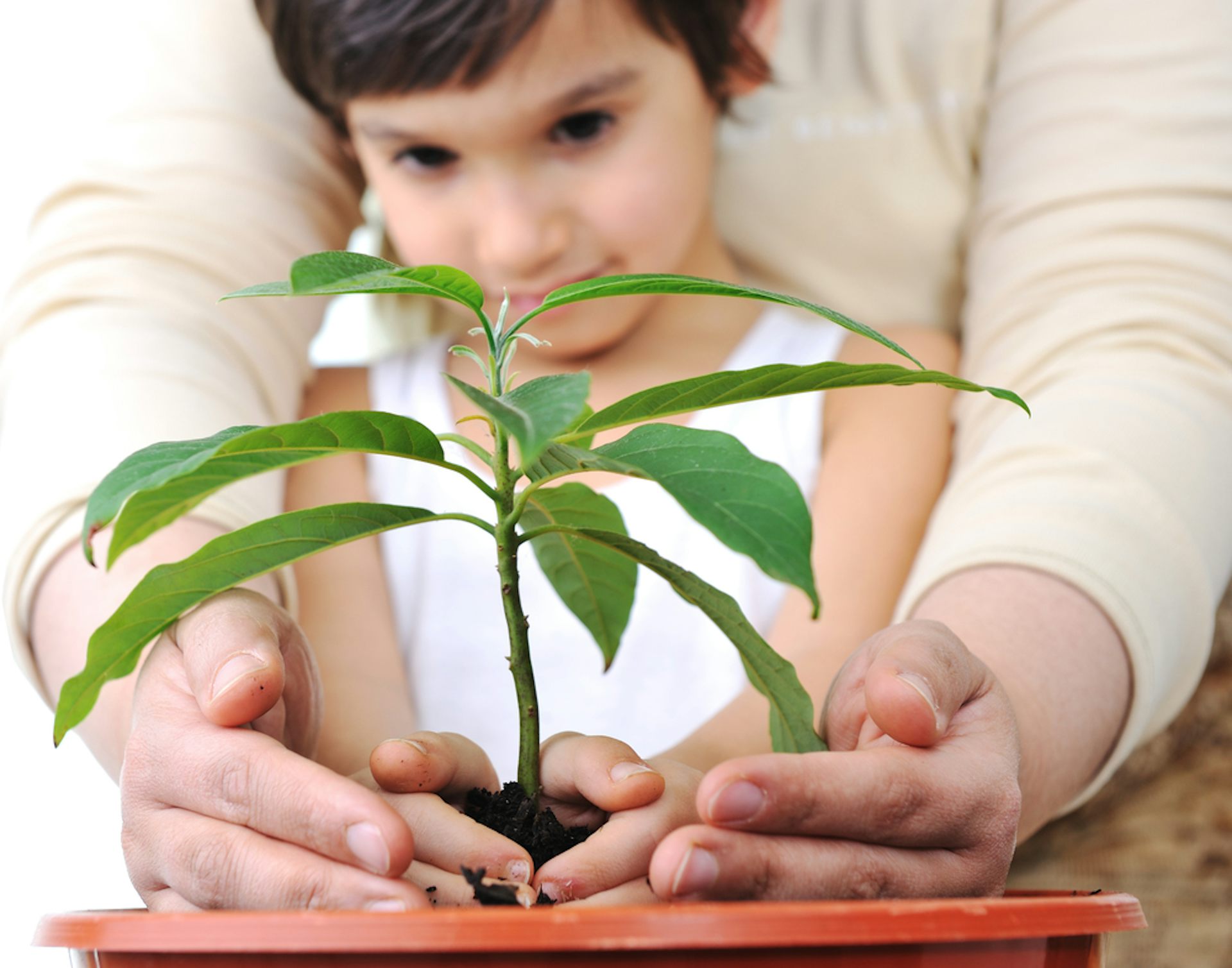 Un enfant plante une fleur, et les mains d’un adulte enserre les siennes pour les guider