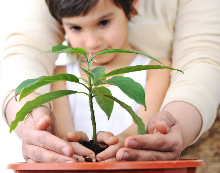 Un enfant plante une fleur, et les mains d’un adulte enserre les siennes pour les guider