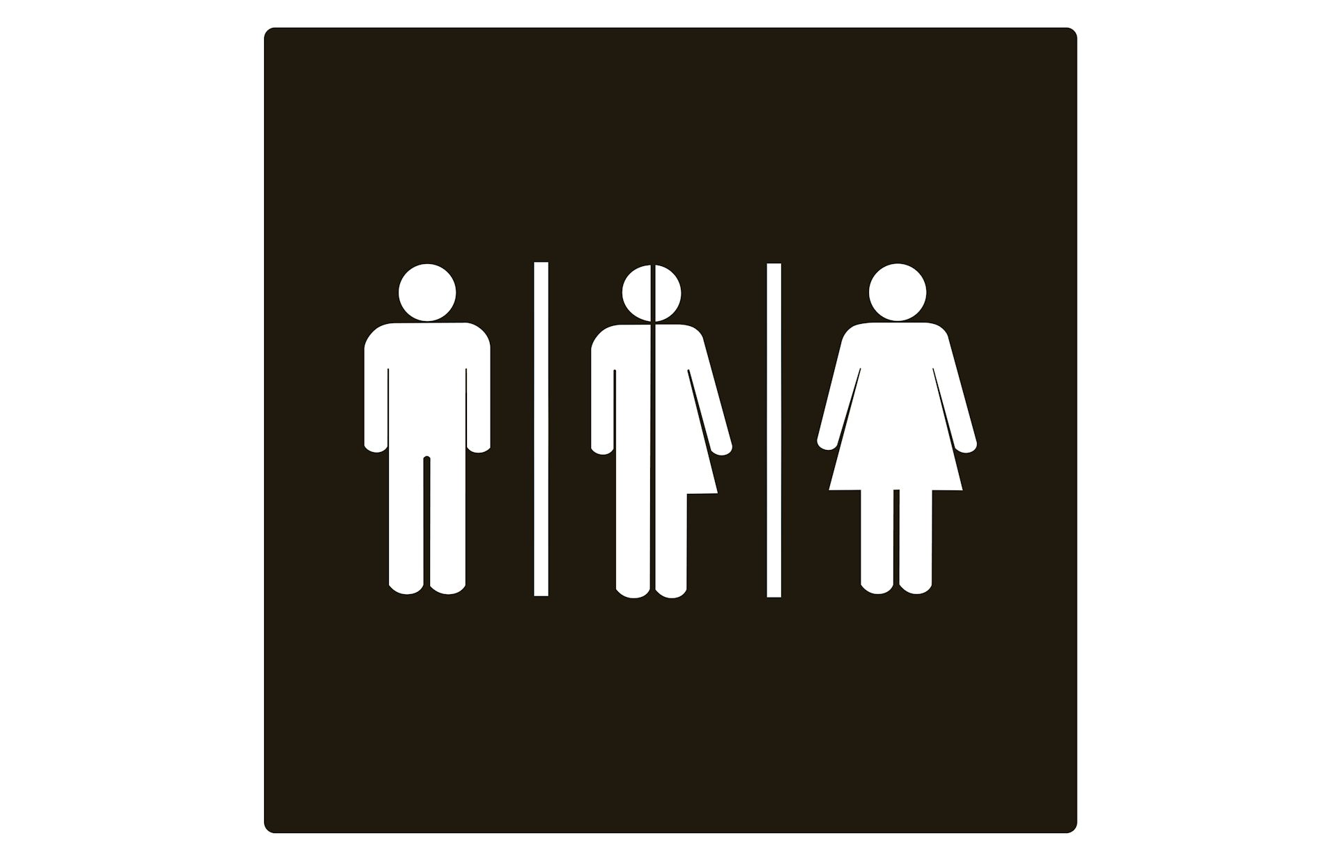 Bathrooms are political how gender-inclusive toilets can combat indignity and violence photo