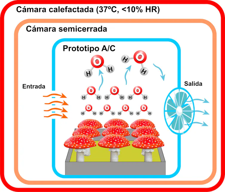 Esquema de un prototipo de aparato de aire acondicionado elaborado a partir de un cultivo de champiñones (_Agaricus bisporus_) que produjo una capacidad de enfriamiento de 1 002 BTU/h.