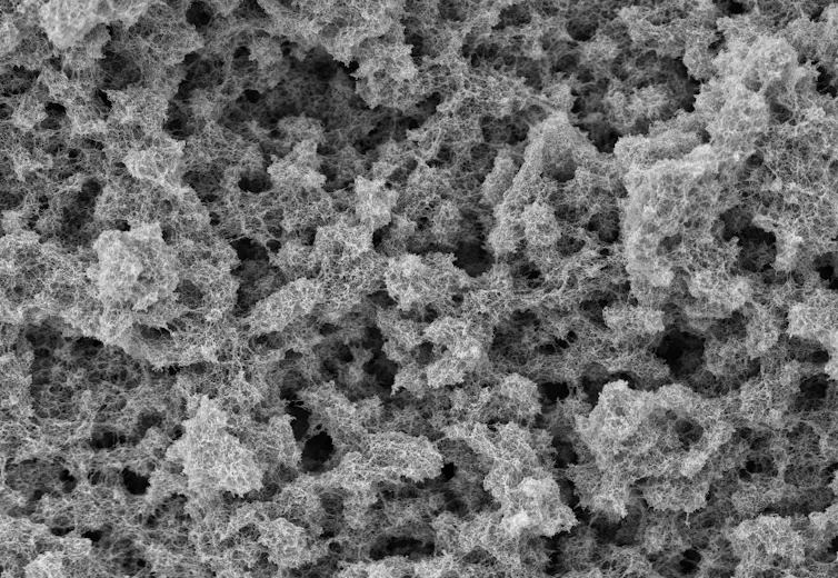 microscopie du matériau poreux