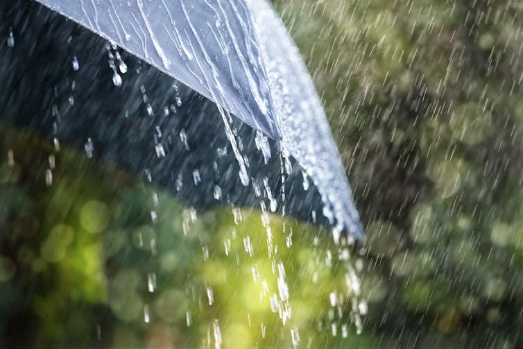 An umbrella in the rain.
