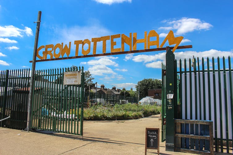 The Grow Tottenham community garden in north London.