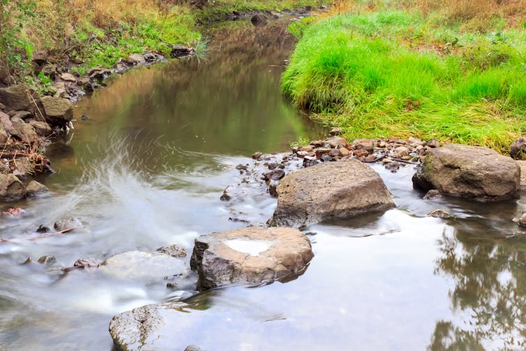 Darebin creek