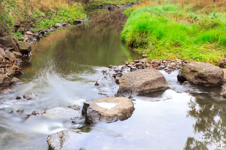 Darebin creek
