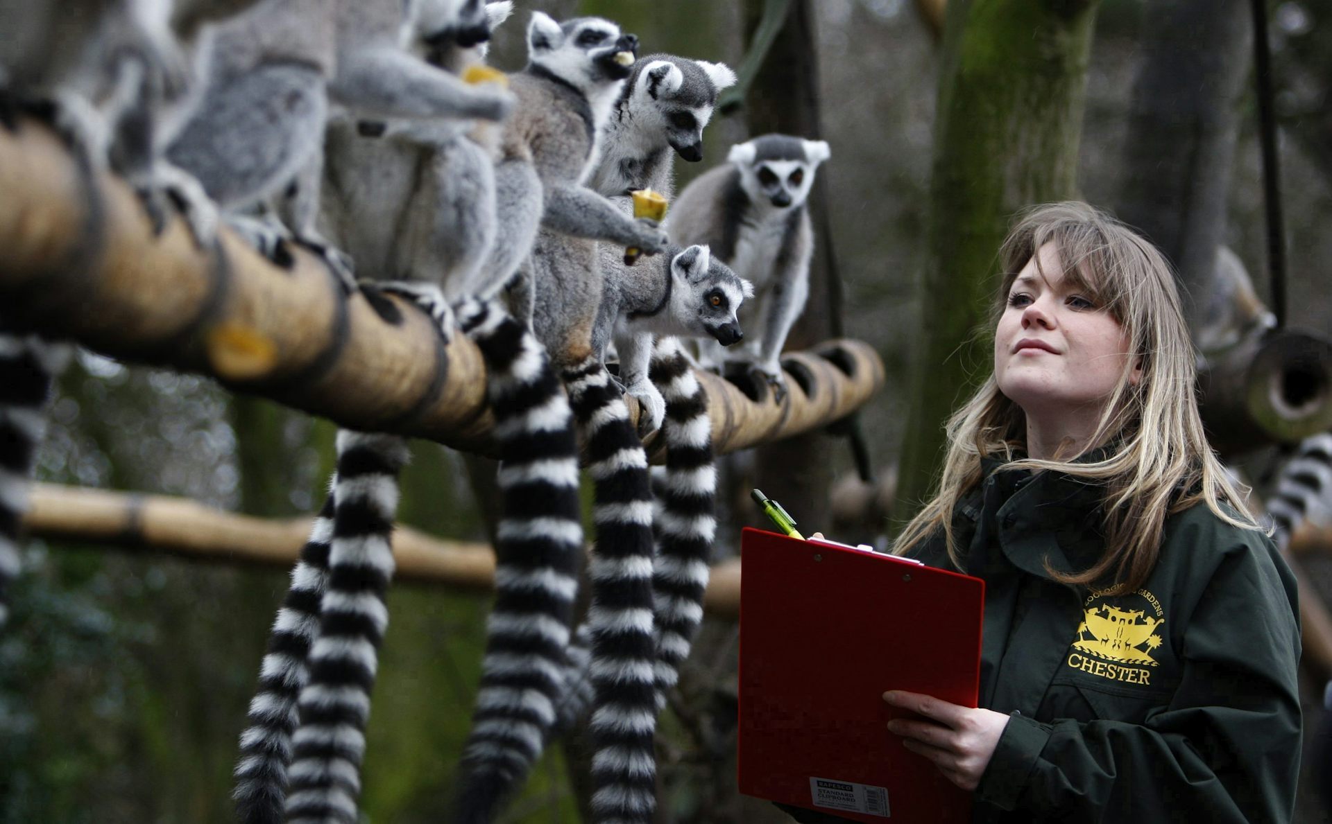 Zoos and universities must work together to safeguard wildlife and